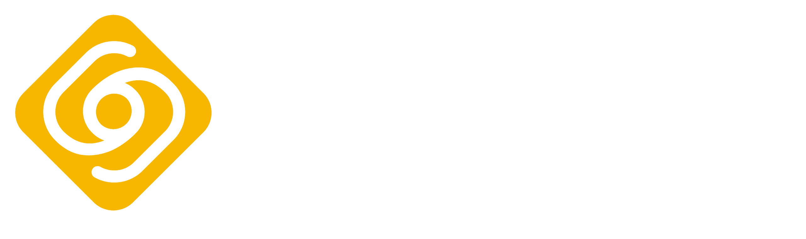 VisNet Logo